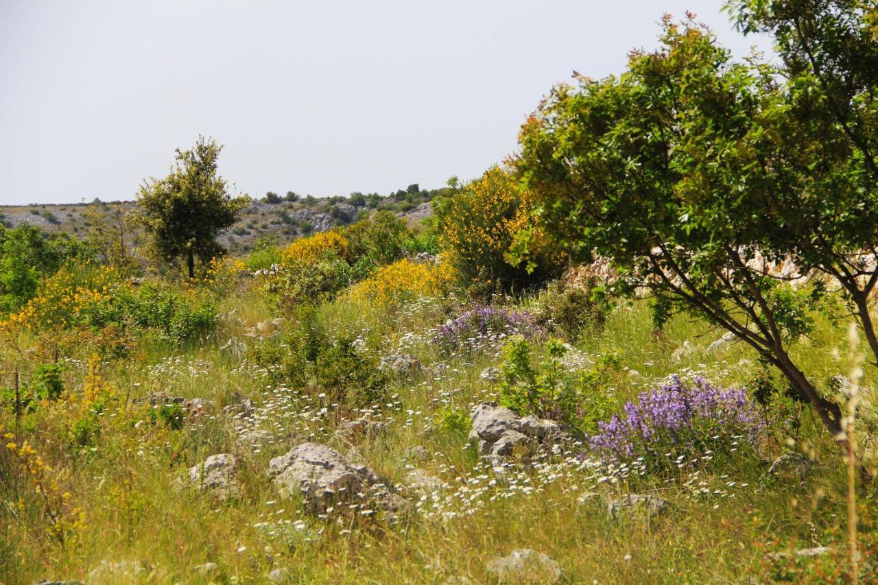 Villa Zlatno Sunce In The Hills Near Trogir Vrsine Exterior photo